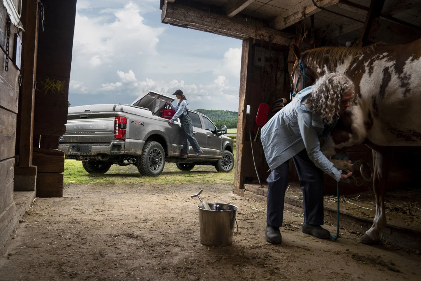 2023 Ford F250 Platinum